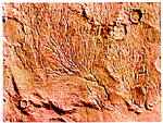 Высохшие речные русла, сфотографированные «Викингами»