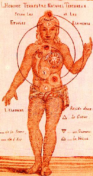 Семь чакр — приемников психической энергии на теле человека, расположенных вдоль позвоночника